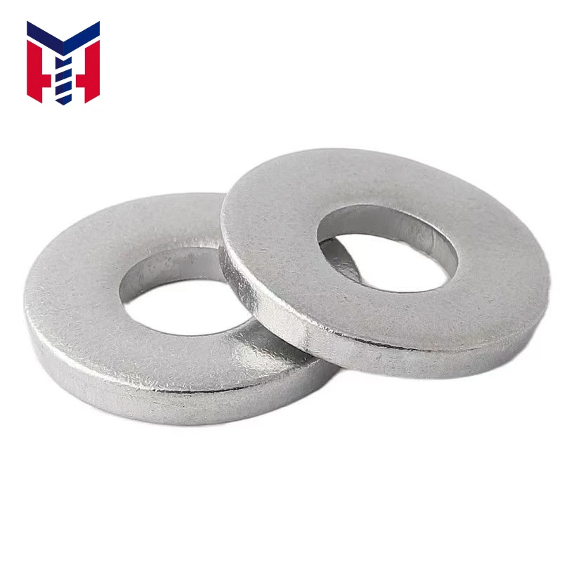 Thick Stainless Steel Washers